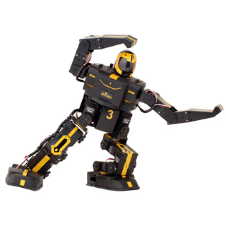 Illustration for article titled RoboPhilo: A Humanoid Robot for Less Than $500